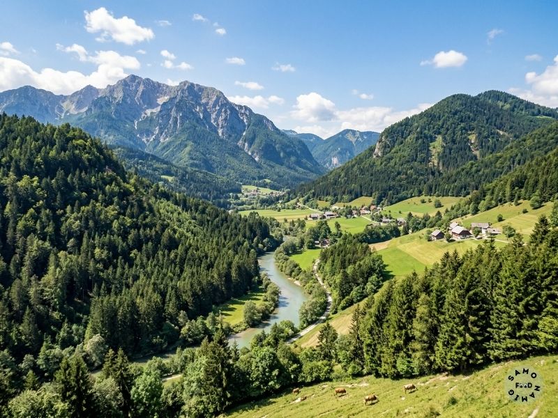 Mistična narava in aktivni odklop