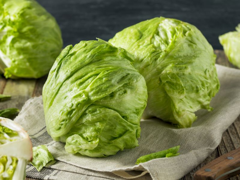 Ledena solata in potovanje z vlakom